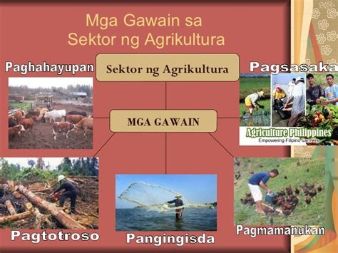 paggugubat drawing|Sektor Ng Agrikultura .